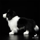 Pelúcia Border Collie AmigoFiel — Realista de Verdade, do Pelo ao Olhar