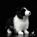 Pelúcia Border Collie AmigoFiel — Realista de Verdade, do Pelo ao Olhar