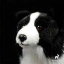 Pelúcia Border Collie AmigoFiel — Realista de Verdade, do Pelo ao Olhar